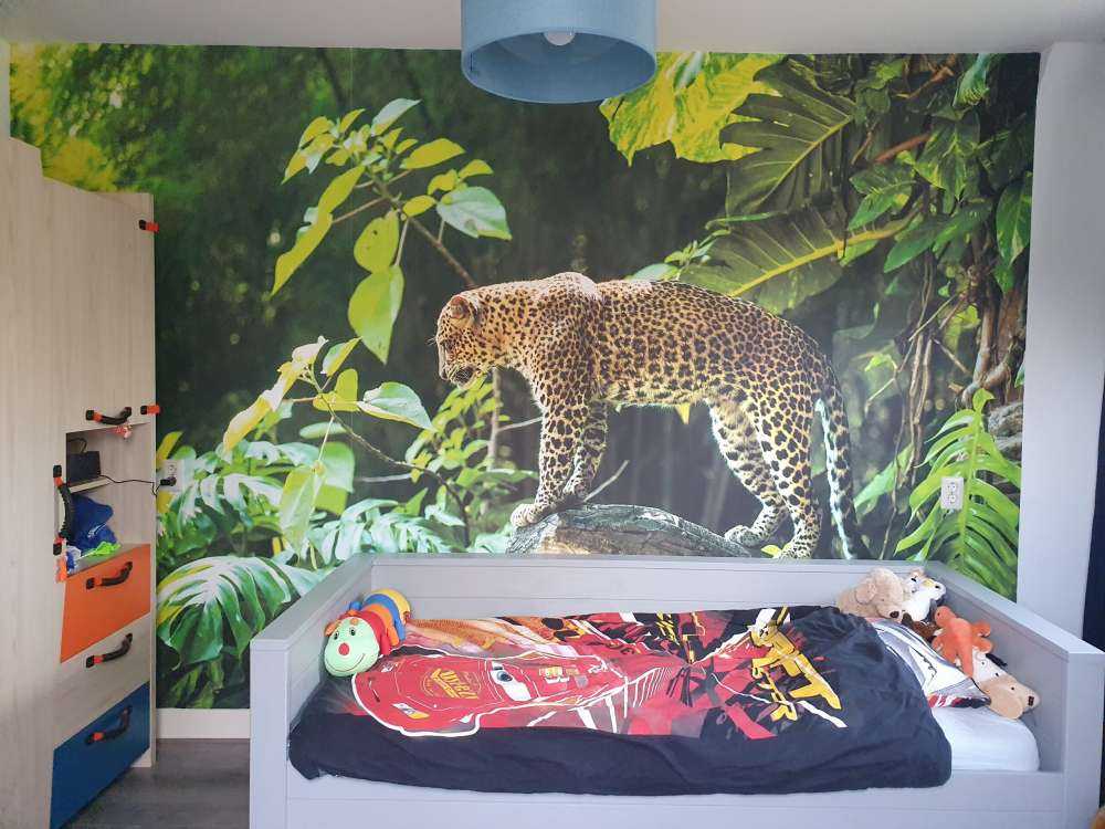 Luipaard op een rotswand