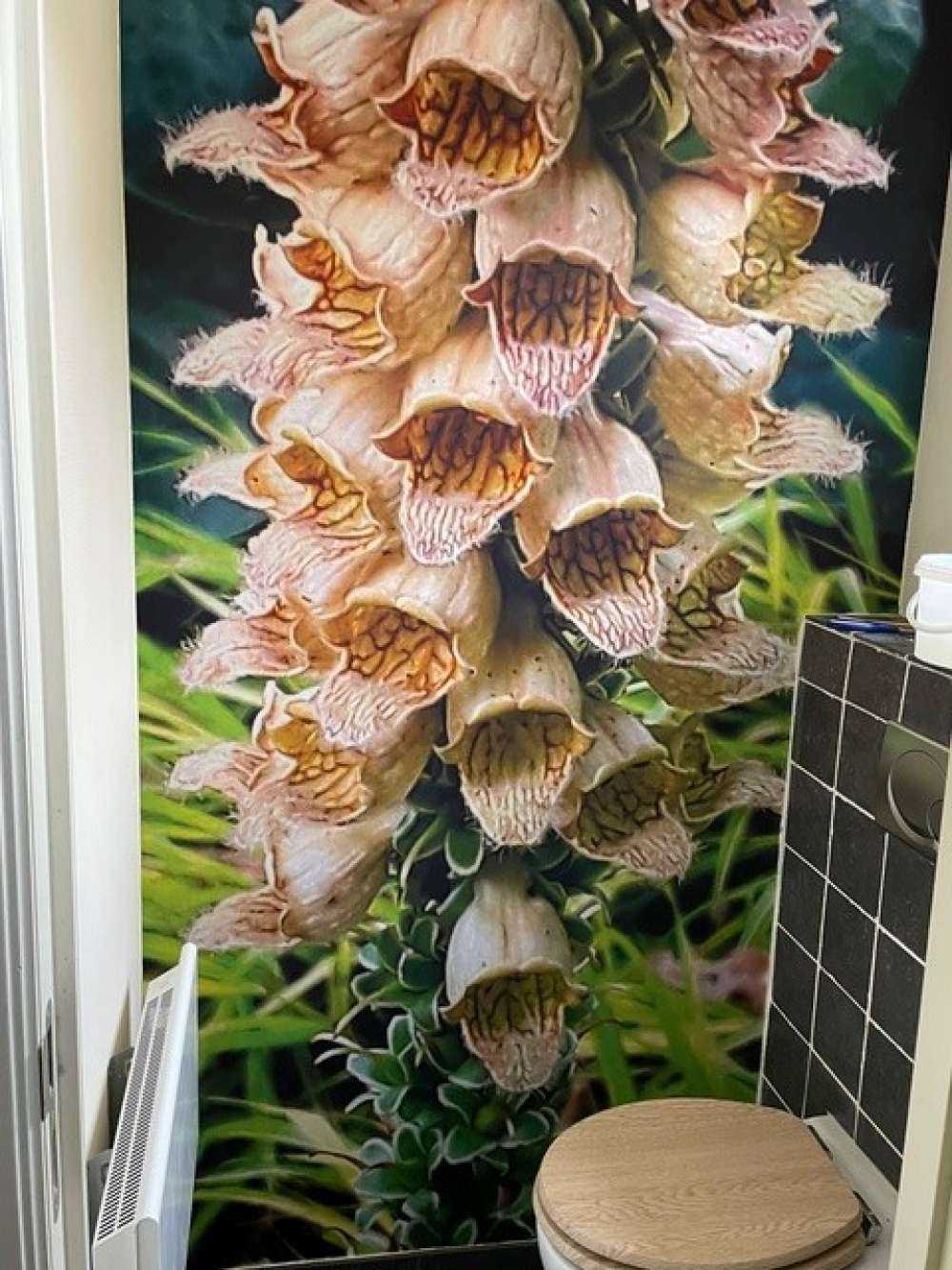 Behang met eigen foto