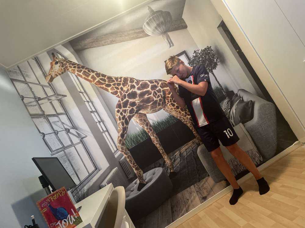 Glurende giraffe