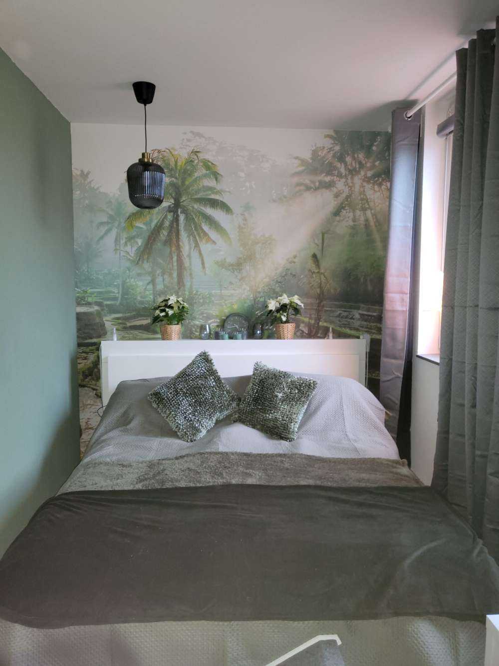 Rijstvelden in de jungle