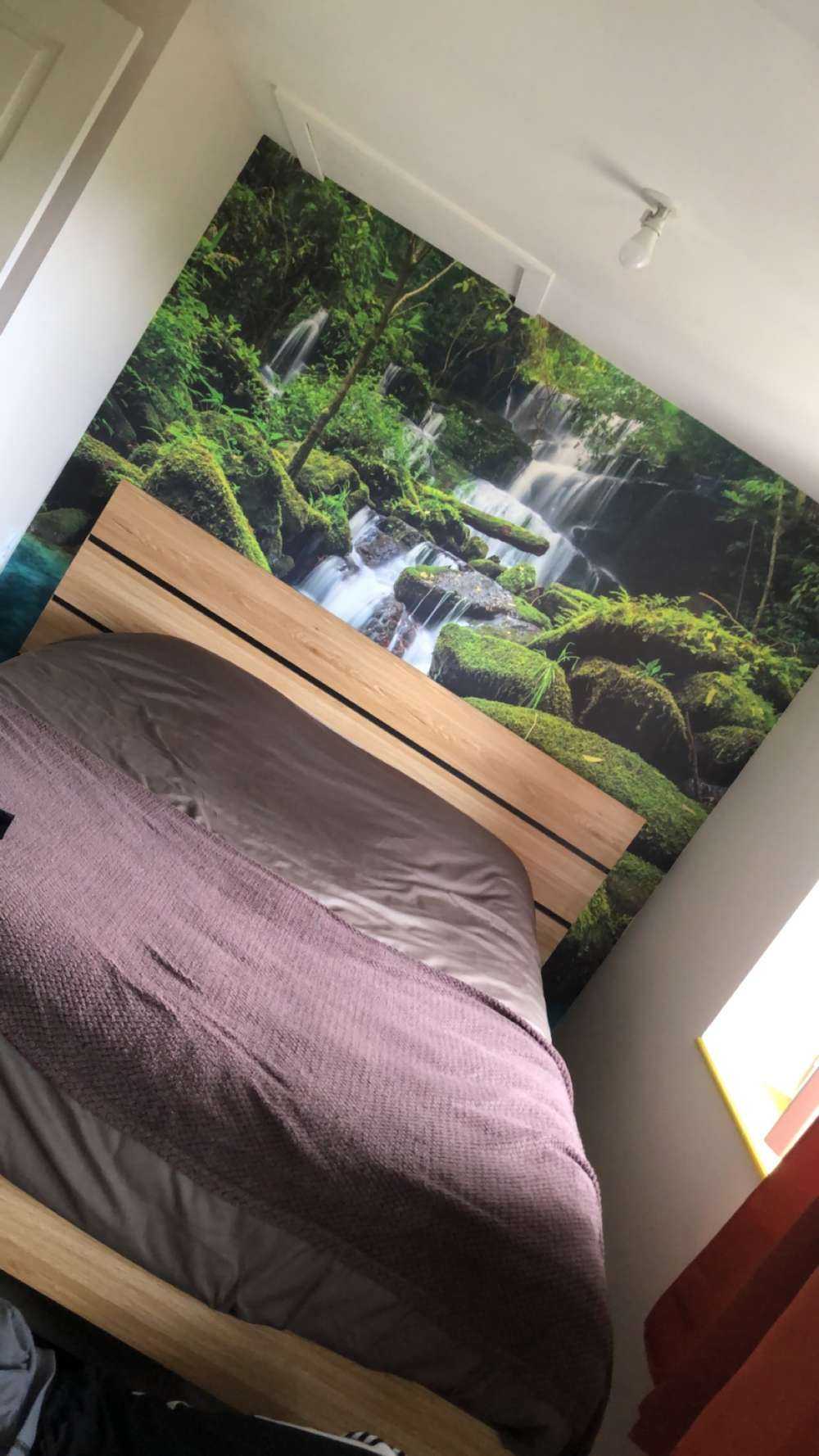 Waterval in een jungle