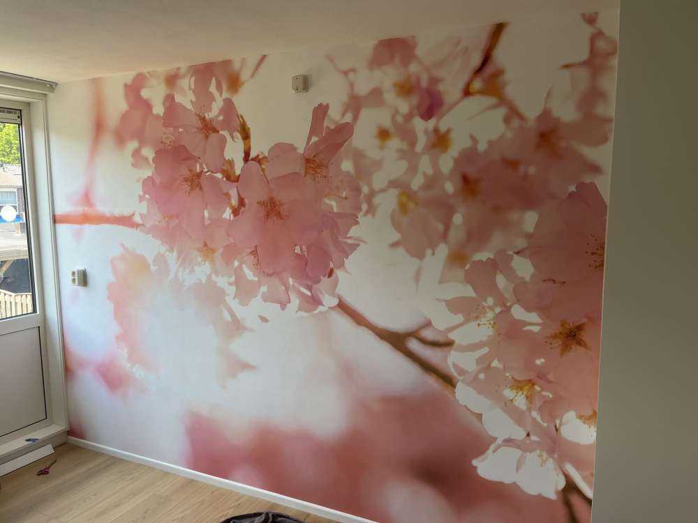 Lichte roze bloesems