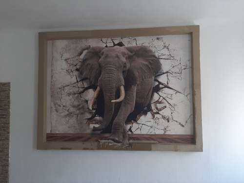 Grote olifant uit de muur