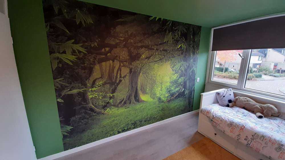 Tropische jungle