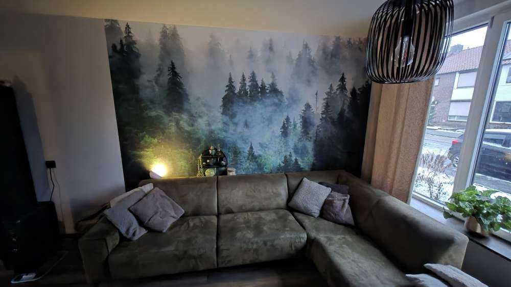 Mistig landschap met groene bomen