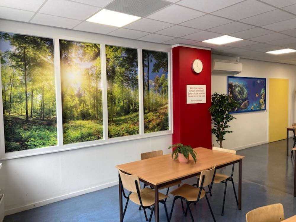 Bos met zonnestralen