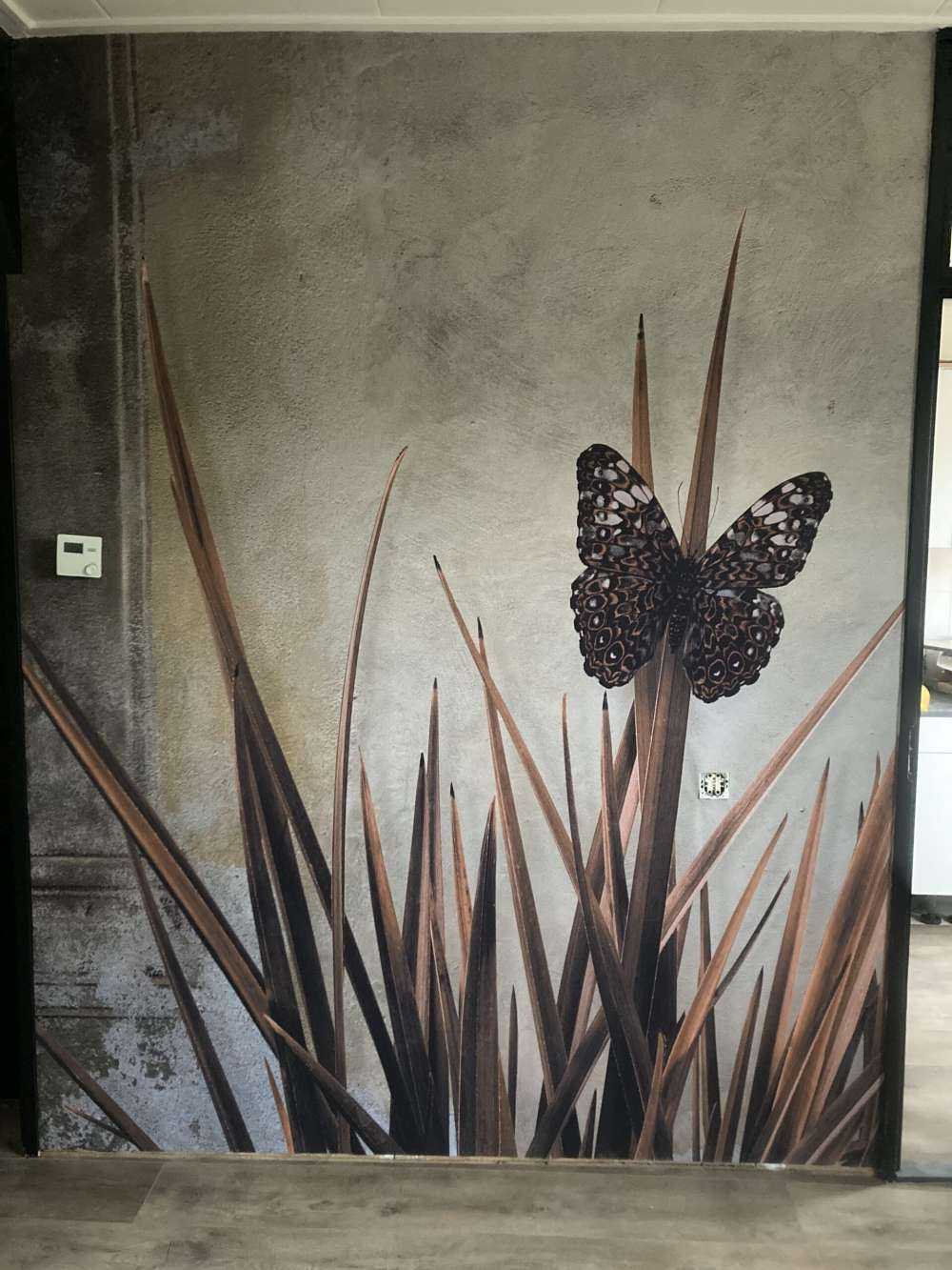 Vlinder bij oude muur