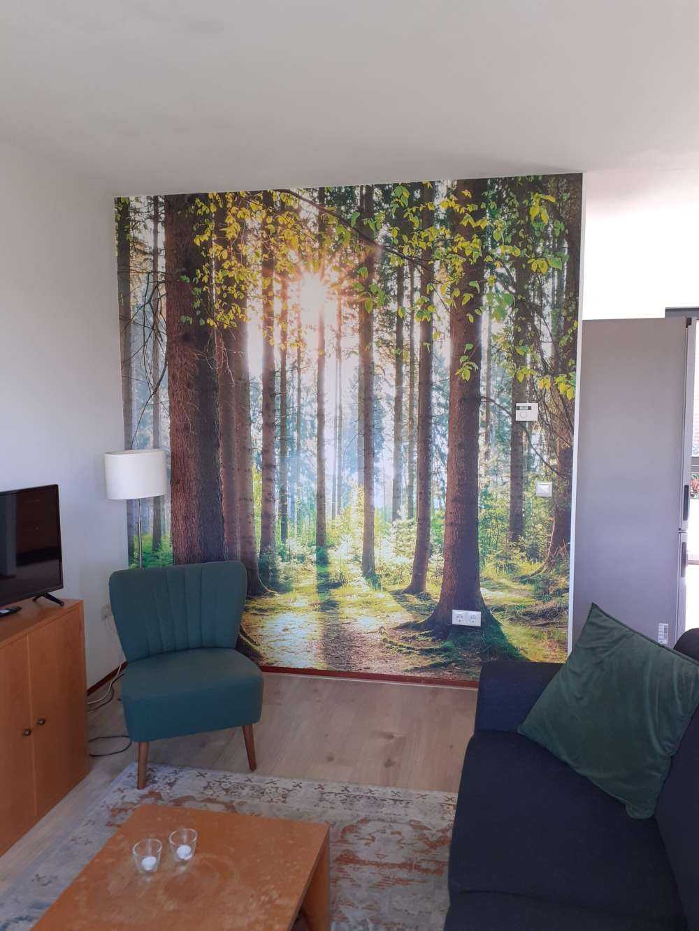 Zonsopkomst in het bos