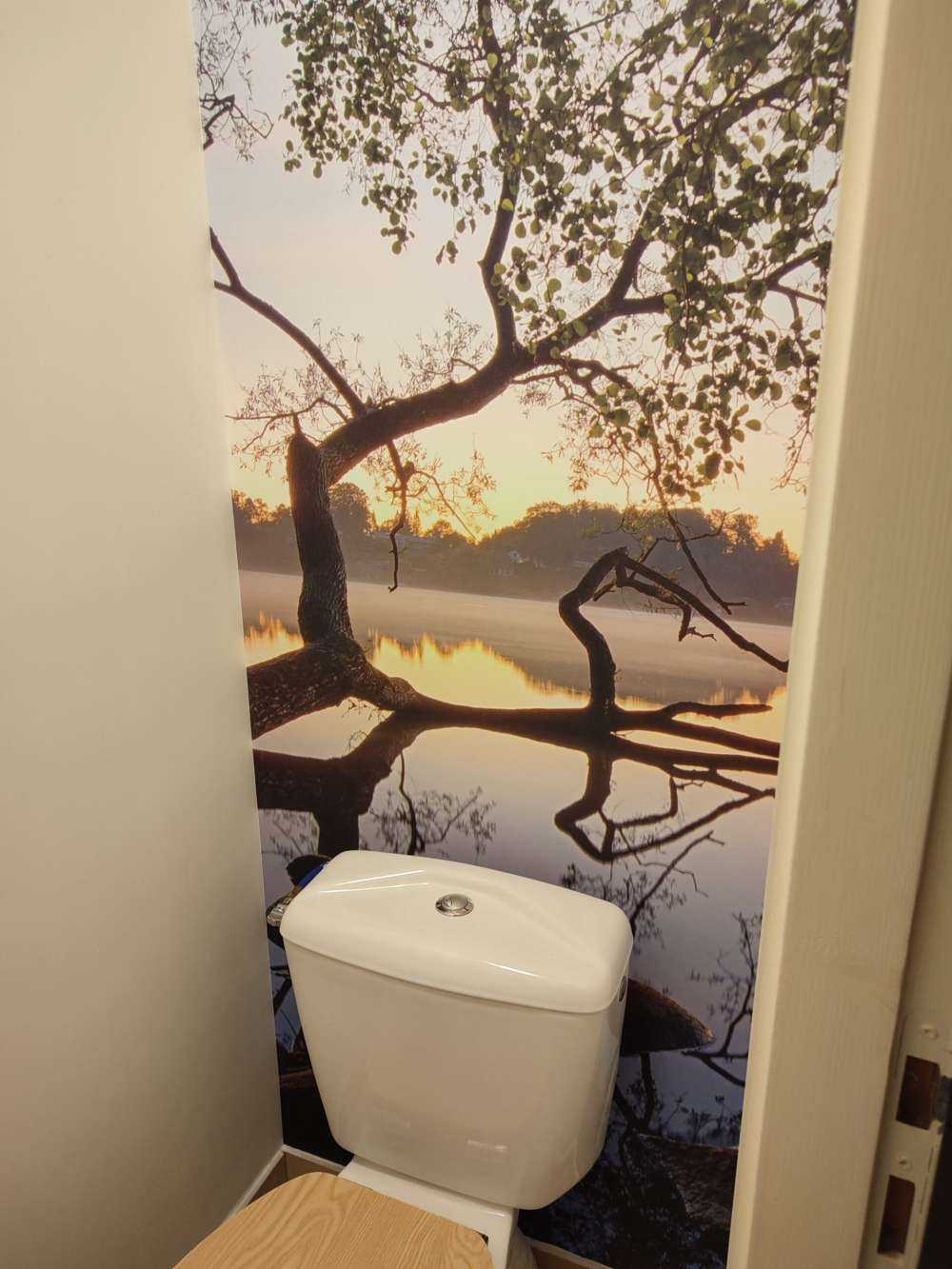 Lake view