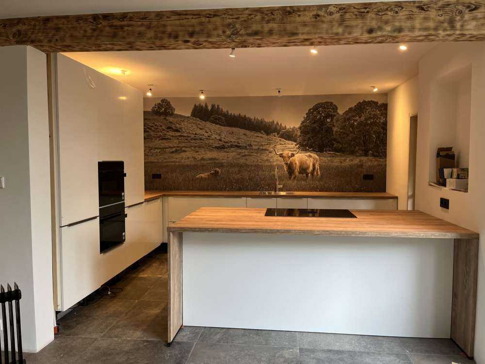 Schotse hooglander met kalf