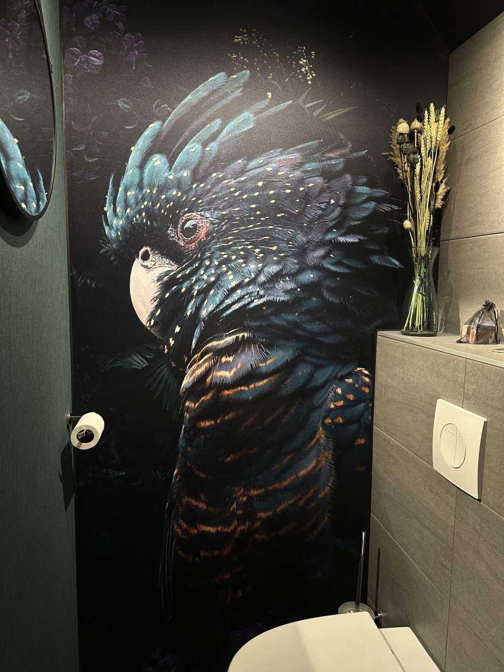 Jungle Cockatoo