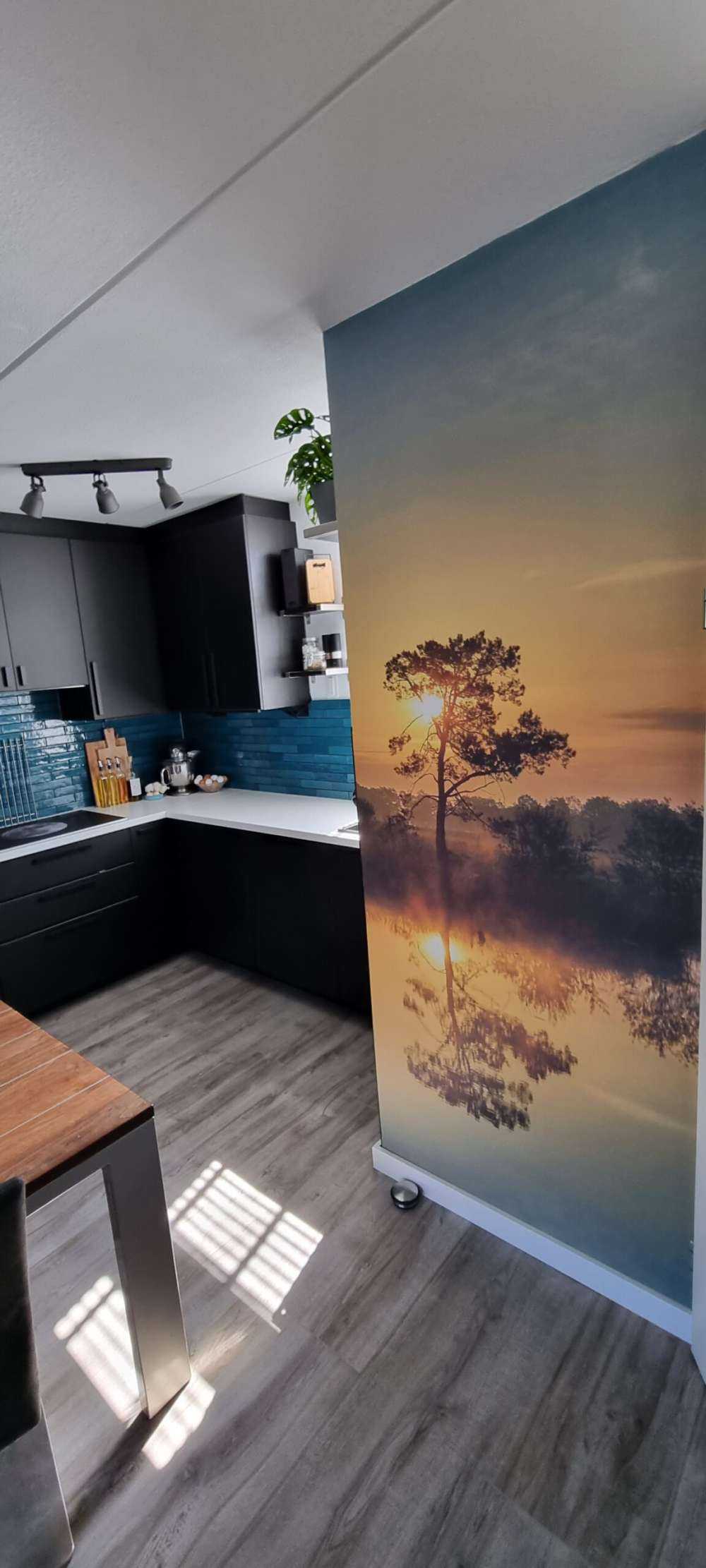 Zonsopkomst bij bosven