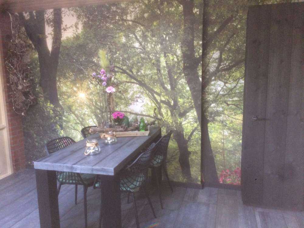 Zonsopkomst bij pad met rhododendrons