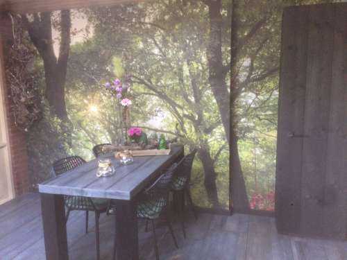 Zonsopkomst bij pad met rhododendrons