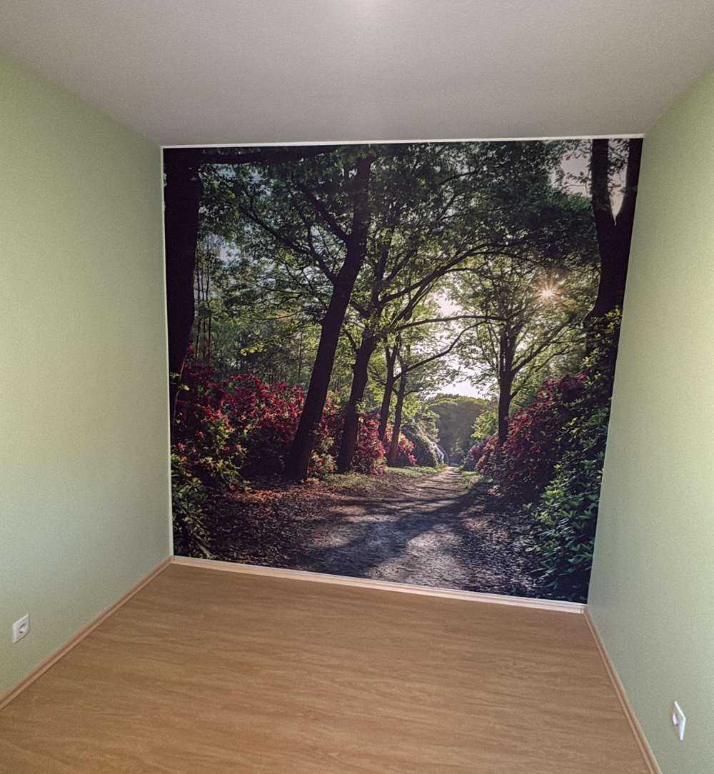 Zonsopkomst bij pad met rhododendrons