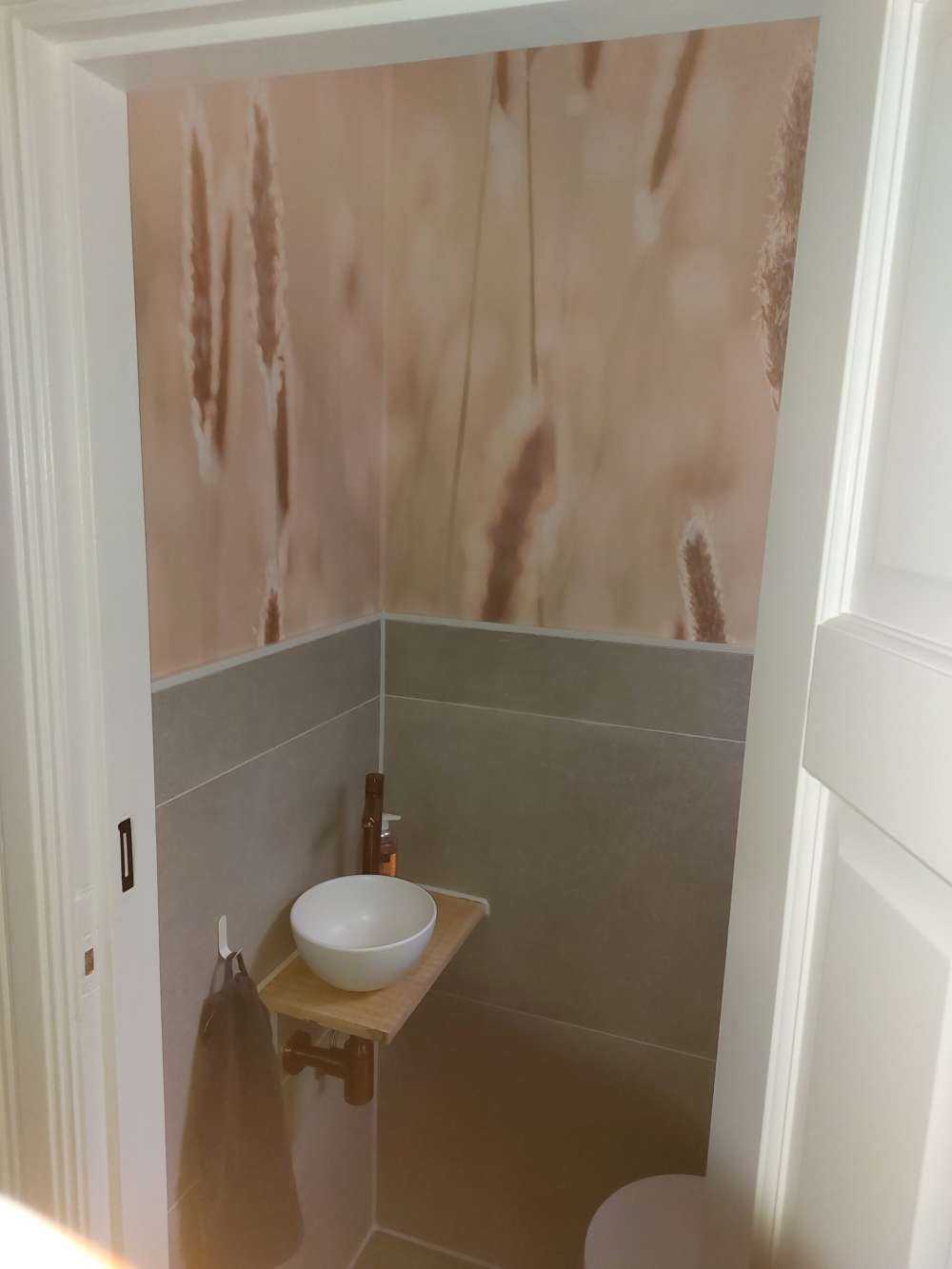 Zonlicht door weiland