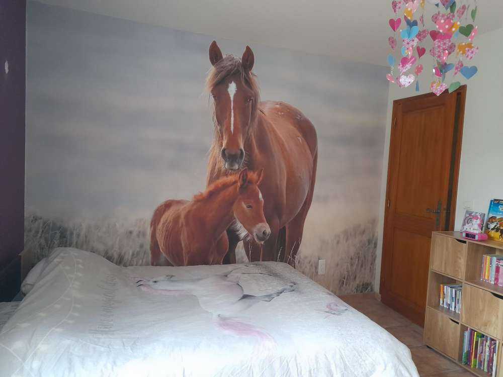 Wilde paarden