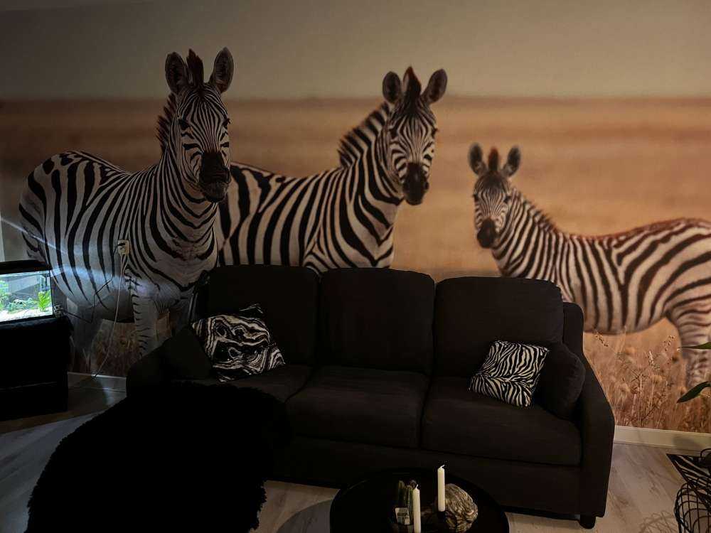 Zebra's in de natuur