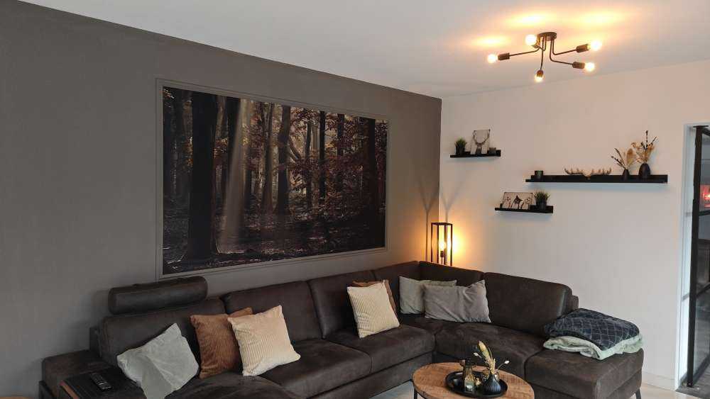 Herfstkleuren in het bos