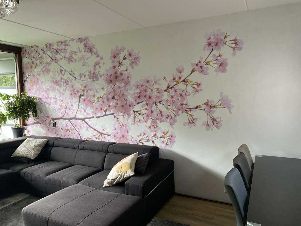 Roze bloesem takken