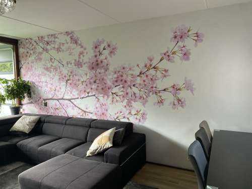 Roze bloesem takken