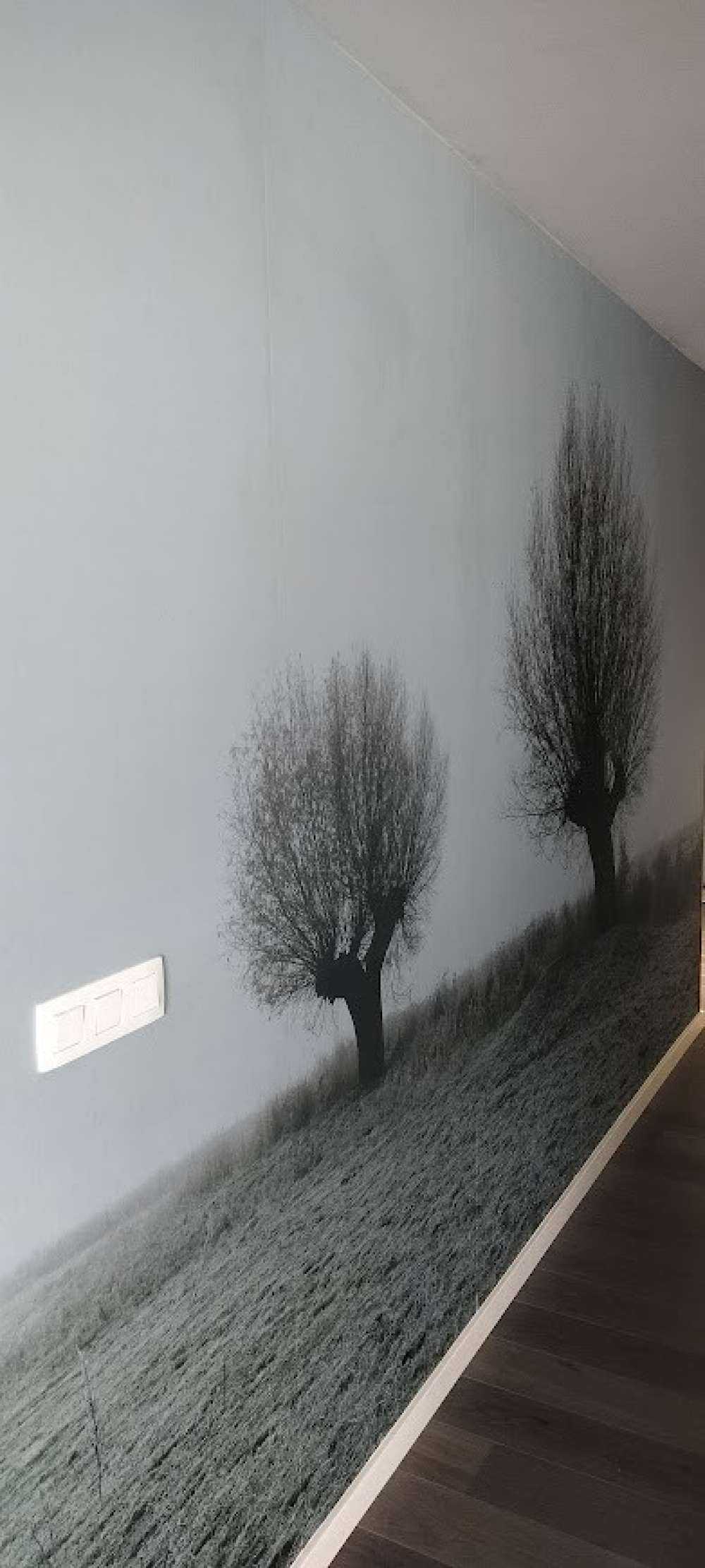 Knotwilgen in de mist