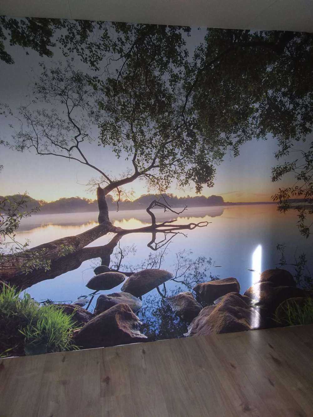 Lake view