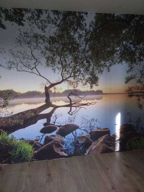 Lake view