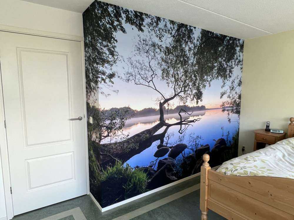 Lake view