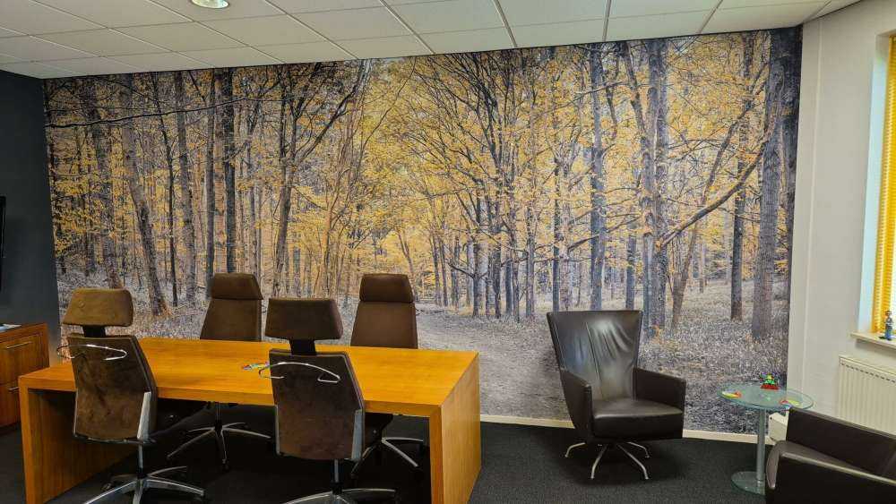 Bosweg tijdens de herfst