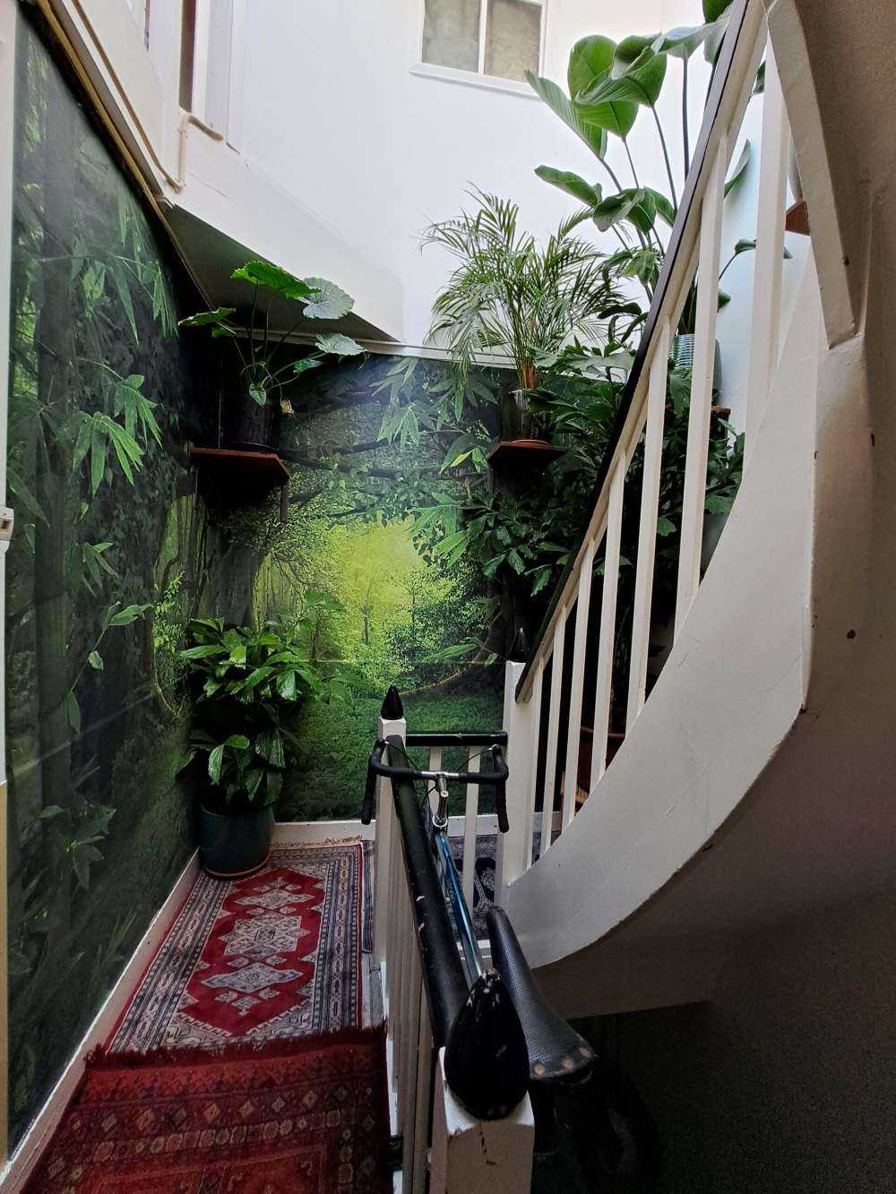 Tropische jungle