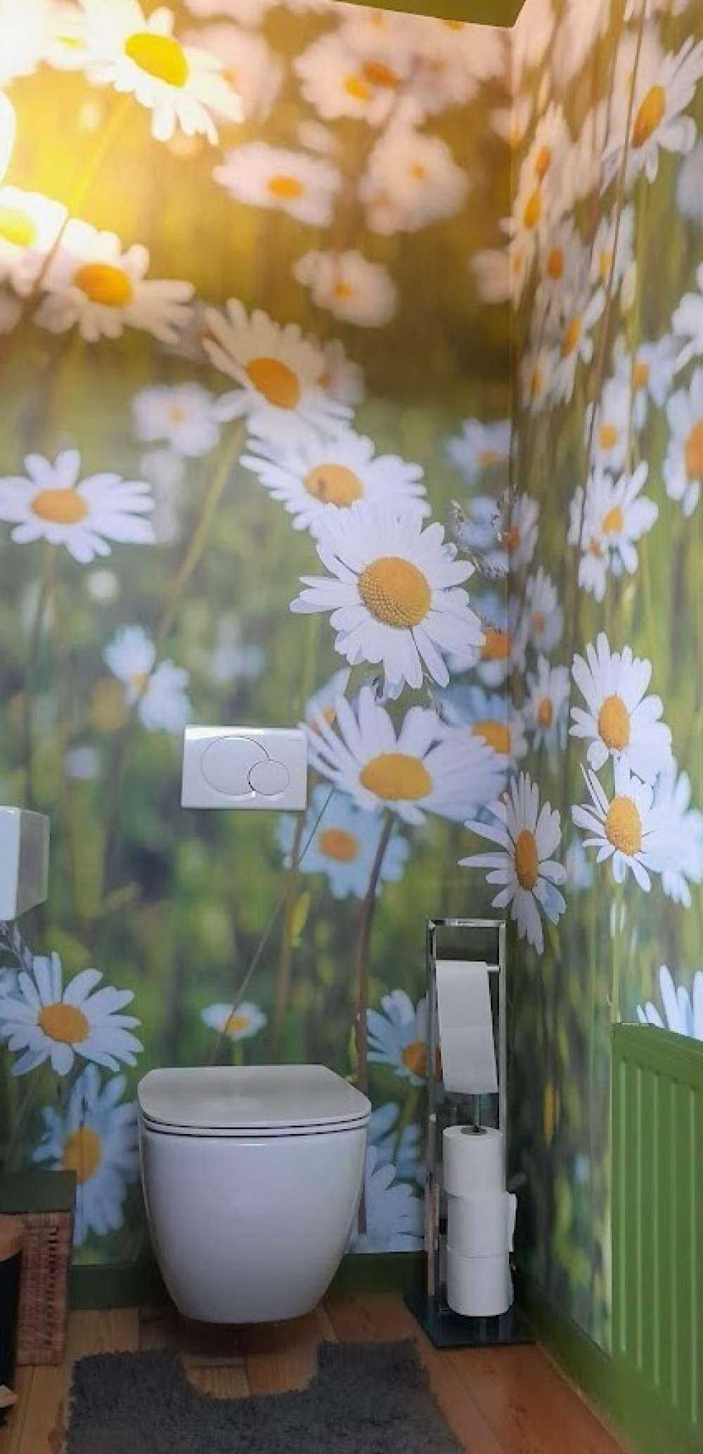 Madeliefjes in een veld