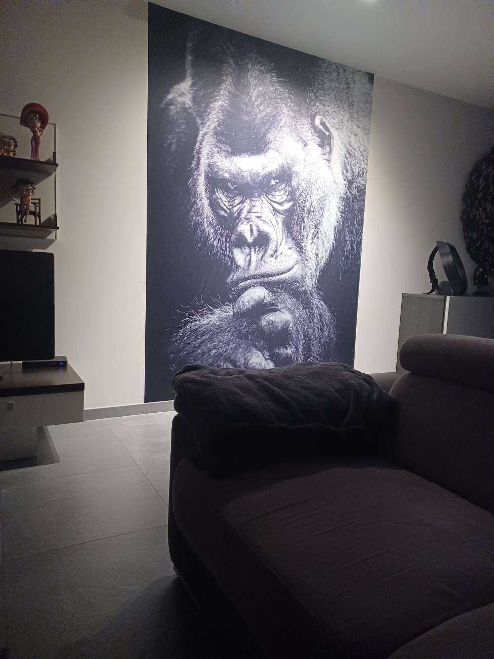 Close-up foto van een gorilla
