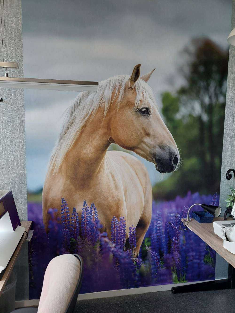 Paard tussen de Lupinus vlinderbloemen