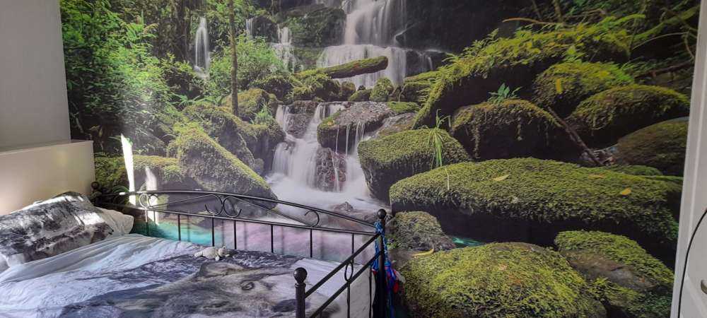 Waterval in een jungle