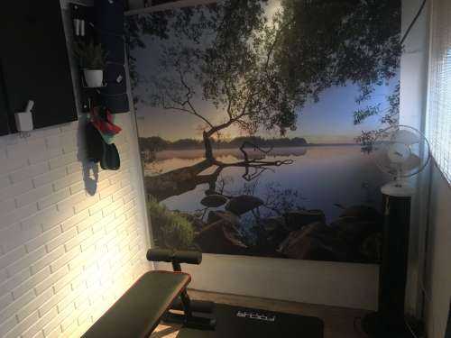 Lake view