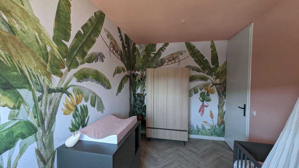 Jungle met kleurrijke dieren