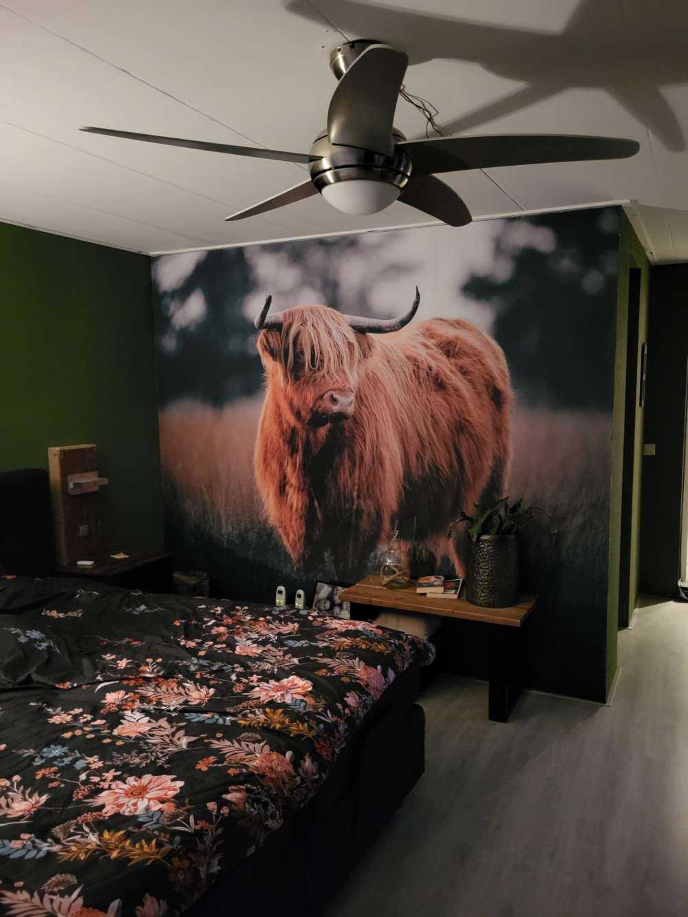 Portret van hoogland