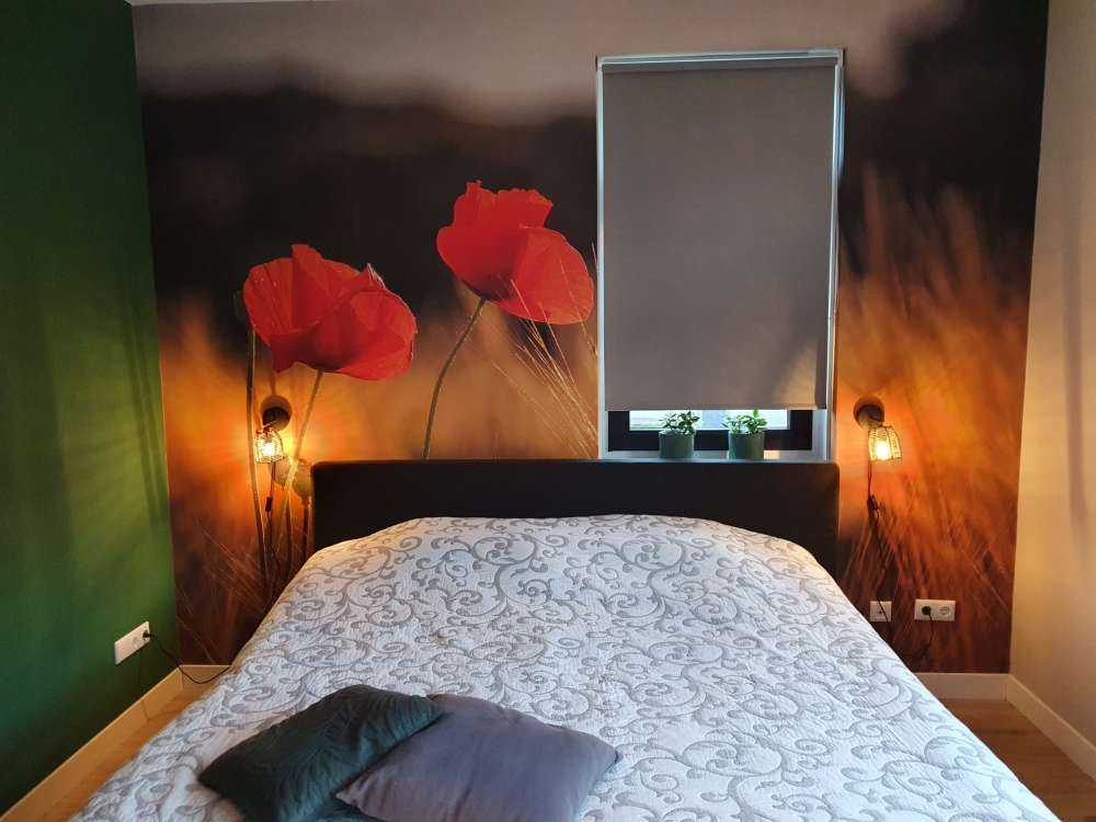 Klaprozen in een tarweveld