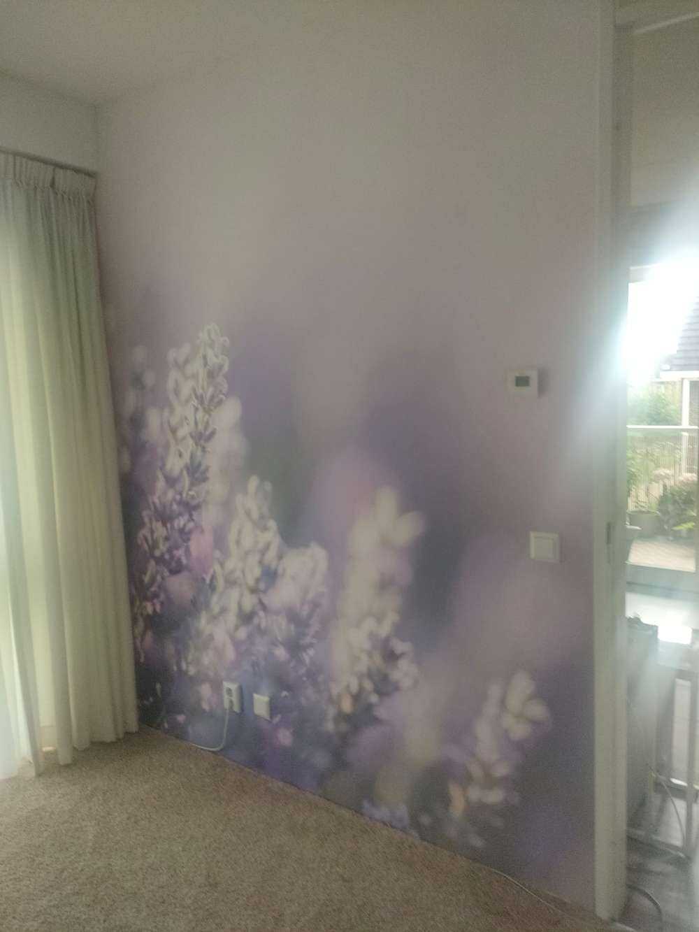 Dromerig lavendel