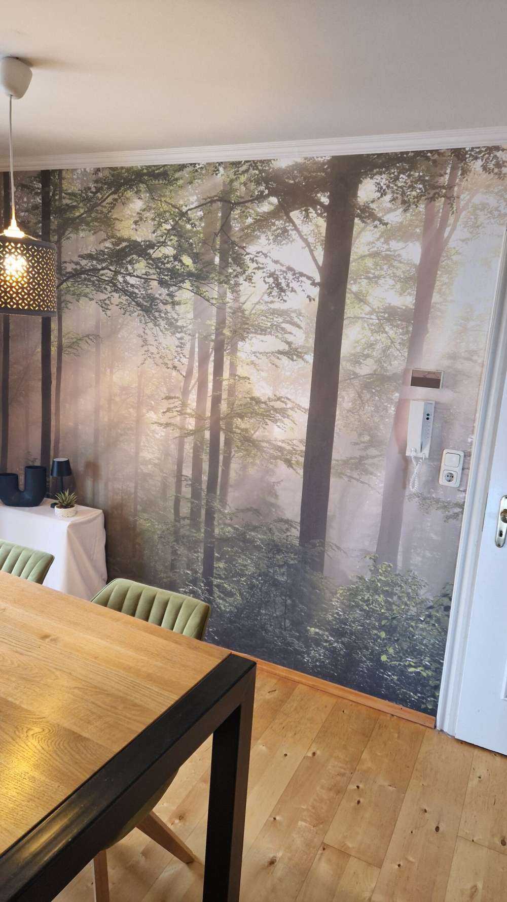 Groen bos in de mist