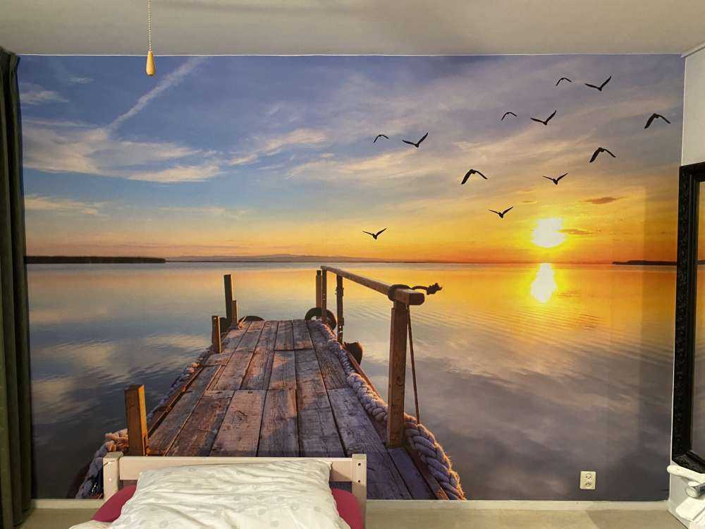 Vogels boven zee