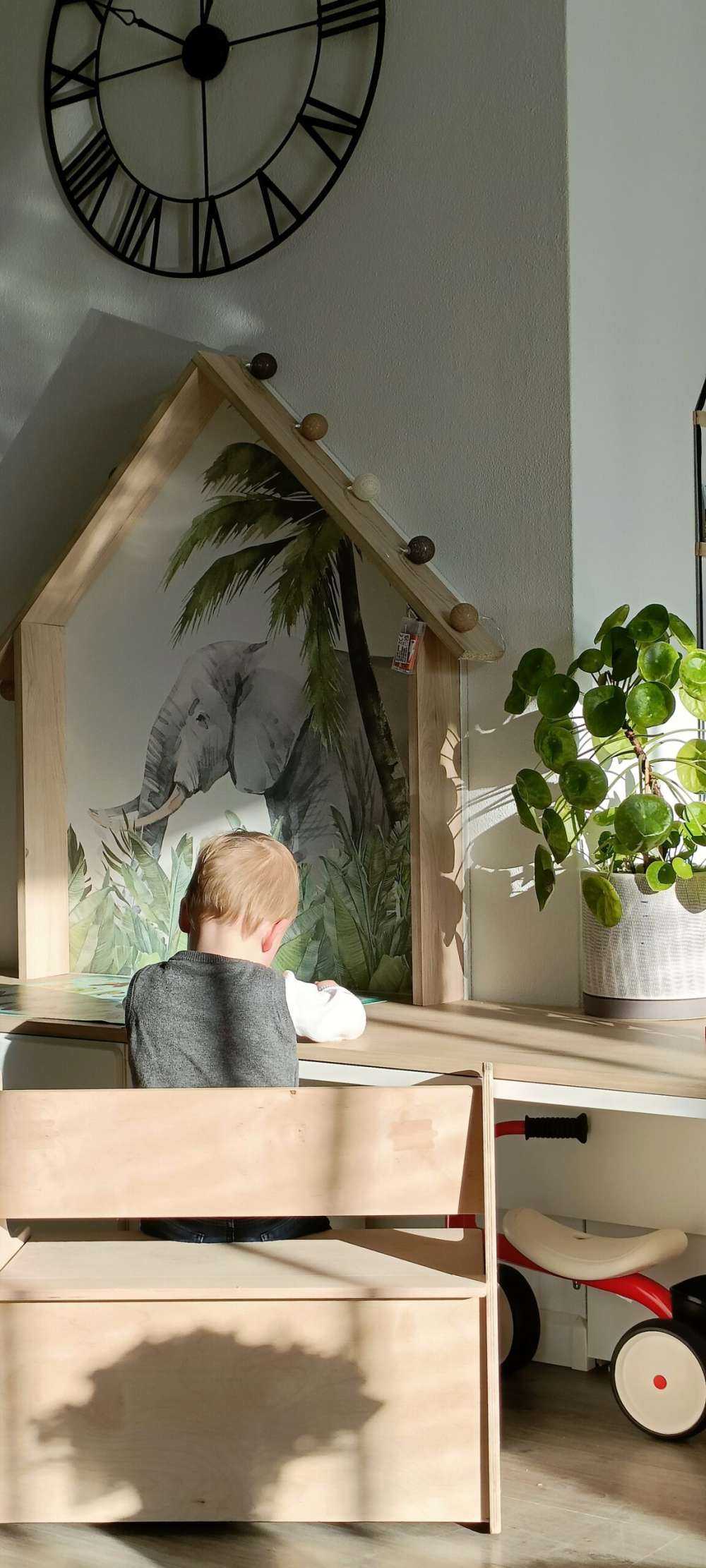 Kleurrijke jungle dieren