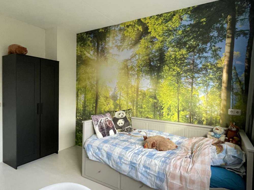 Bos met zonnestralen