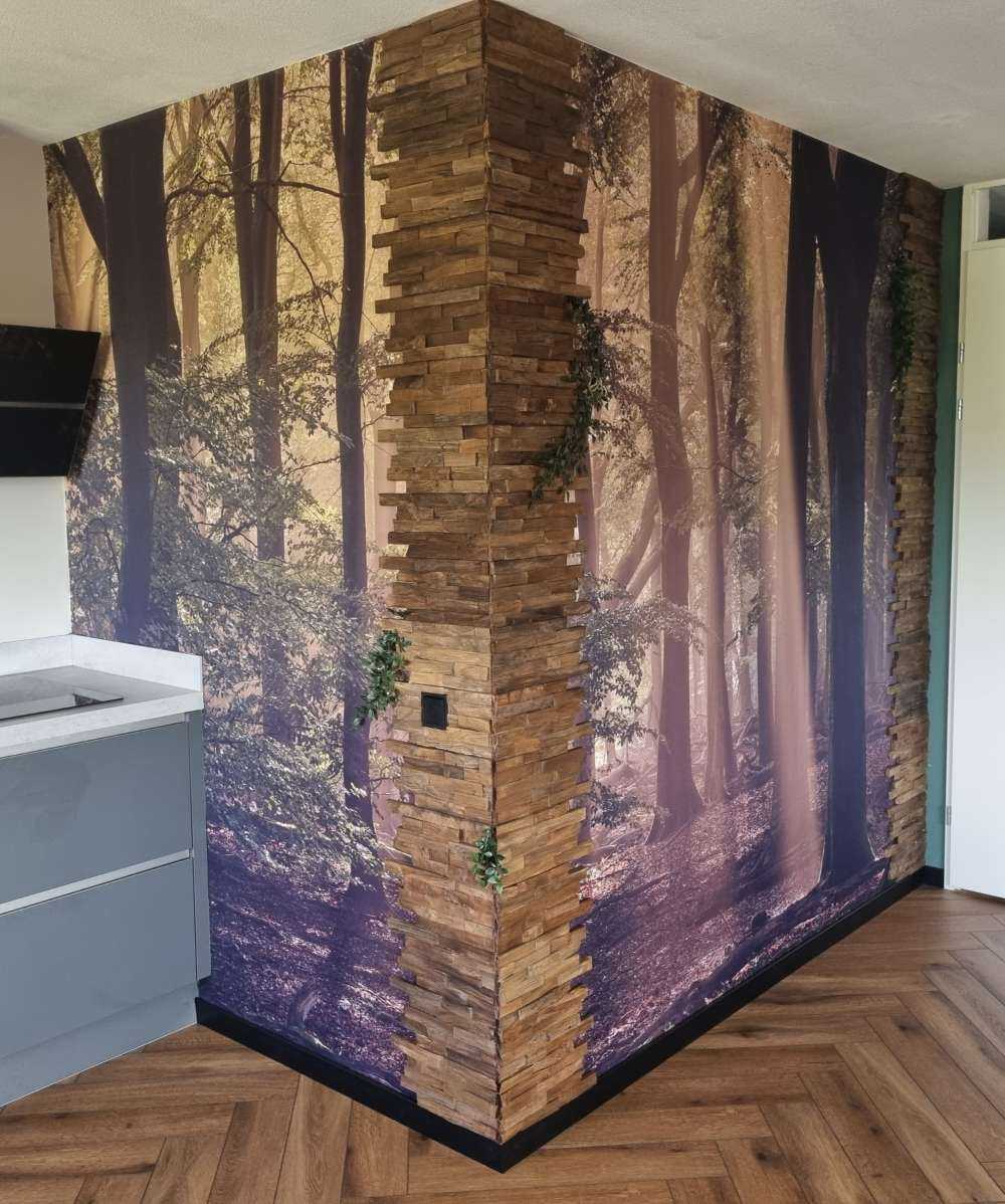 Oud bos met zonneharpen