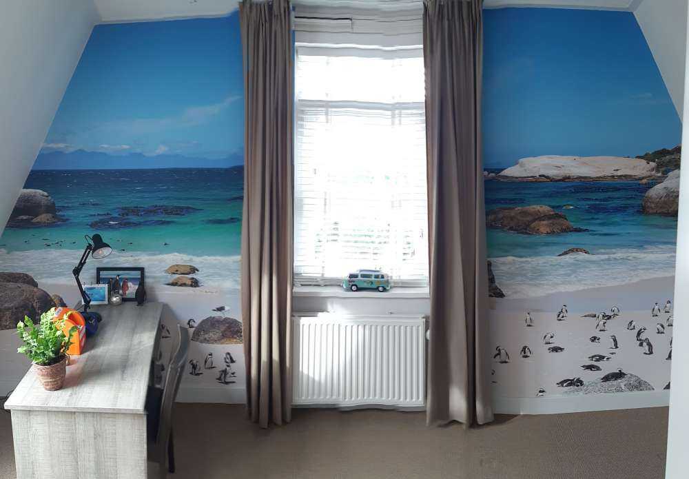 Strand met pinguïns