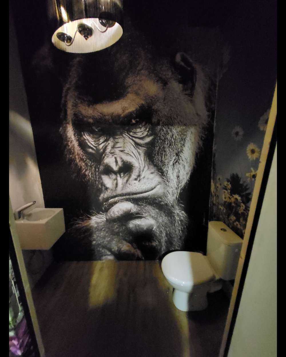 Close-up foto van een gorilla