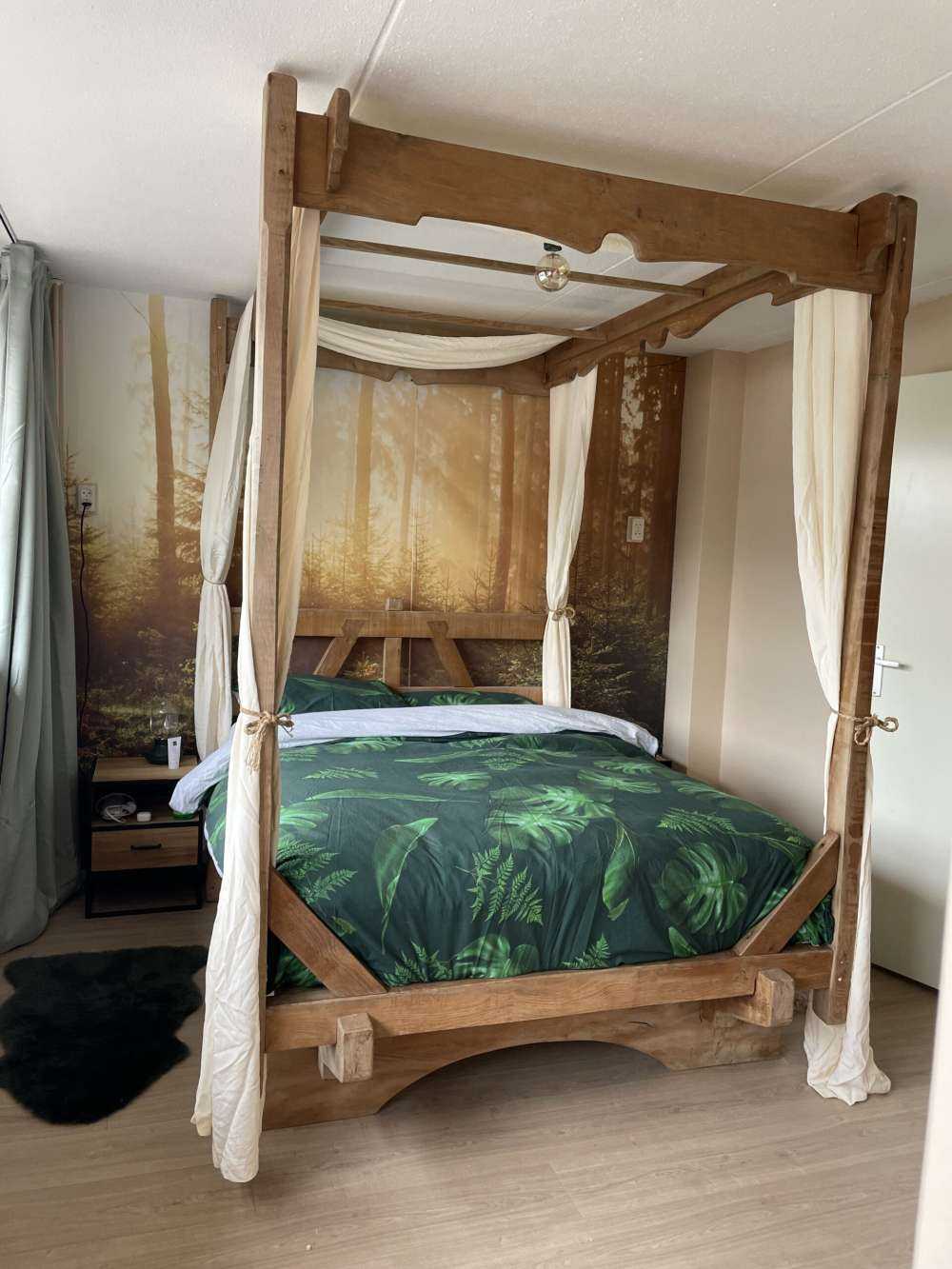 Zonnestralen door het bos