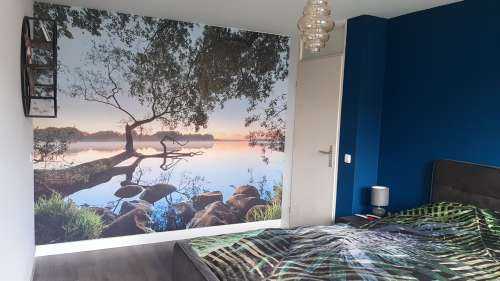 Lake view