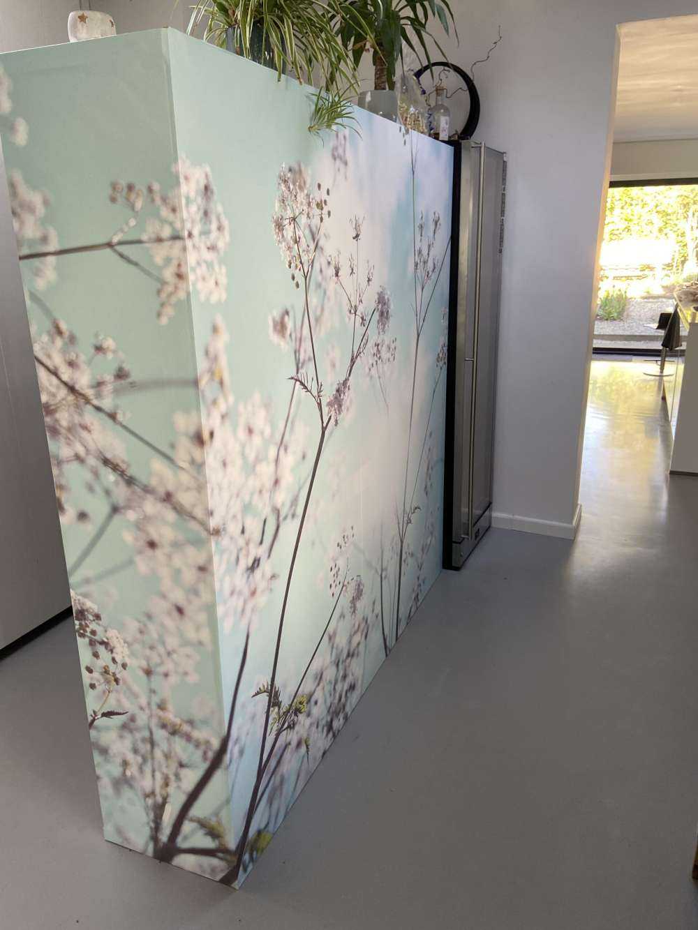 Amandelbloesem in de zon